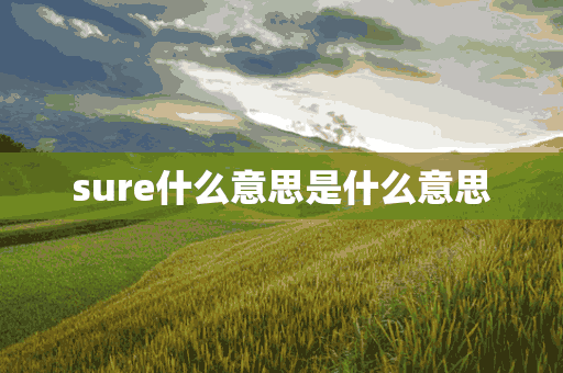 sure什么意思是什么意思